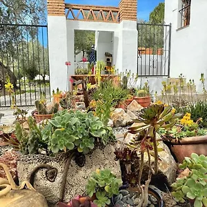 inviting-cottage-in-orgiva-with-a-private-swimming-pool.es-andalucia.com/